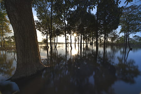 calm body of water thumbnail