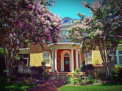 house behind trees thumbnail