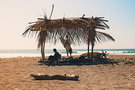 person sitting on brown canopy on seashore near man holding surfboard at daytime thumbnail