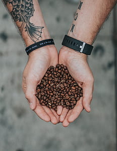 man holding coffee beans both of his hands thumbnail