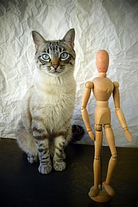 silver tabby cat sitting beside manikin action figure thumbnail
