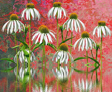white coneflowers painting thumbnail