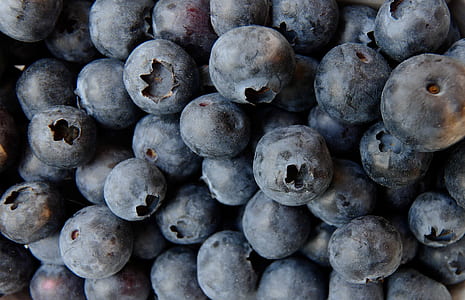 bunch of blueberries thumbnail