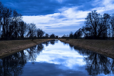 river surrounded by trees thumbnail