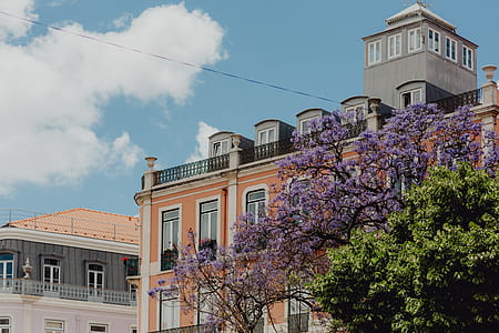 Lisbon Architecture, Portugal thumbnail