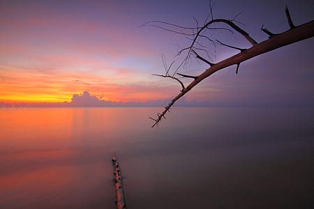 jetty, sea, dawn, nature thumbnail