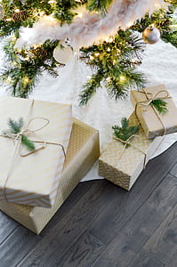 Four Boxes Near Lighted String Lights thumbnail