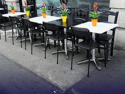 restaurant, plants, tables, design thumbnail