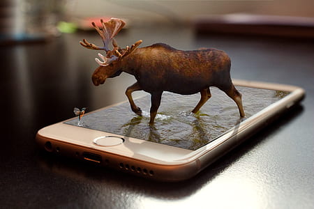 silver iPhone 6 thumbnail
