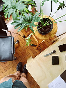 man standing on edge of wooden table beside potted plant and rolling armchair thumbnail