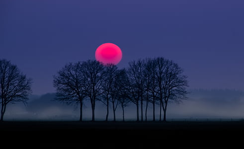 silhouette photo of trees and red full moon thumbnail