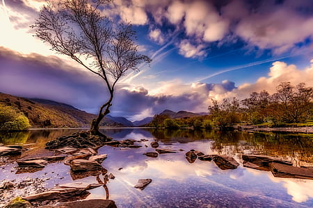 landscape photo of trees near body of water thumbnail