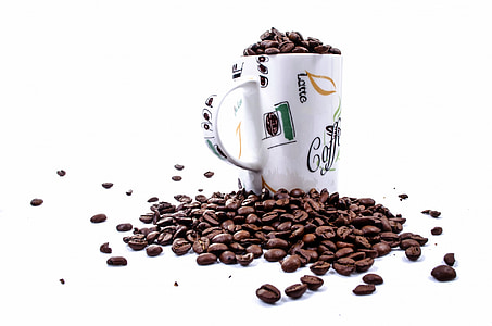 brown coffee beans thumbnail