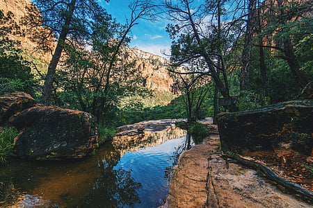 close-up photography of body of water surrounded by trees and rocks thumbnail
