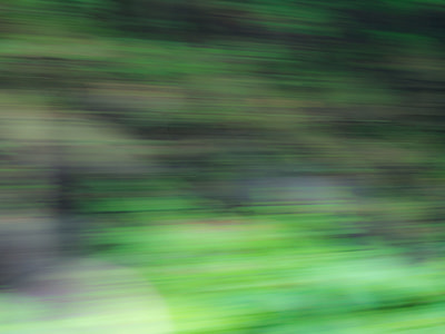 Motion Blur, Trees, black, blur, green, motion thumbnail