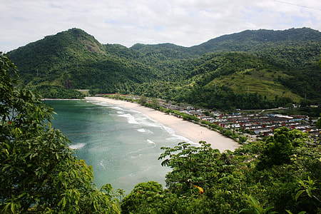 Mar, Tropical Vegetation thumbnail