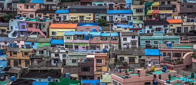 houses with multicolored paint thumbnail