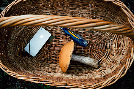 Boletus mushroom in basket thumbnail