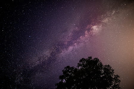 long exposure photography of stars thumbnail