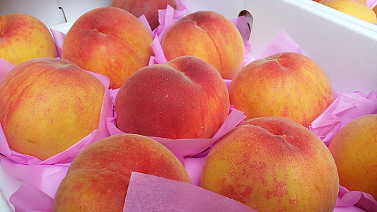 bunch of red apples thumbnail