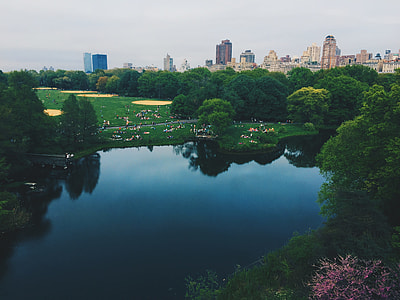 calm body of water between trees thumbnail