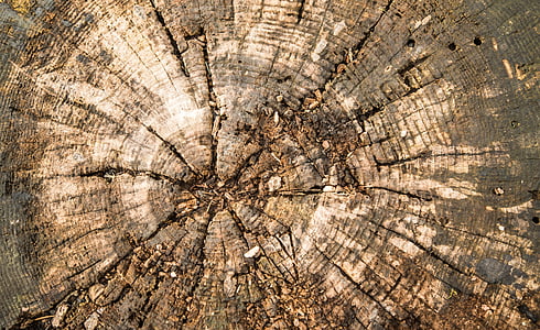 close-up photography of brown wood thumbnail