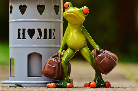 photo of green frog figurine on ground thumbnail