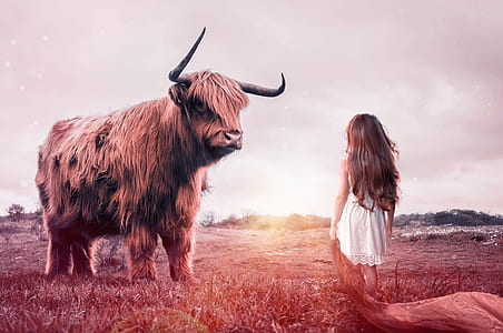 Bison in front of girl thumbnail