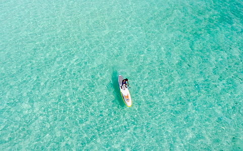 person riding on white paddle board thumbnail