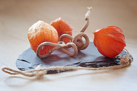 selective focus photography of fruit thumbnail