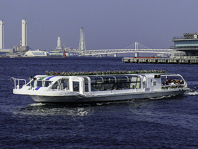 Seabass transport in Yokohama, Japan thumbnail