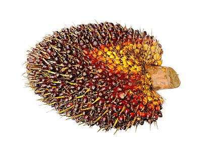 red and yellow fruit thumbnail