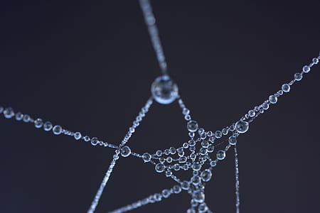 macro-lens of water droplets thumbnail