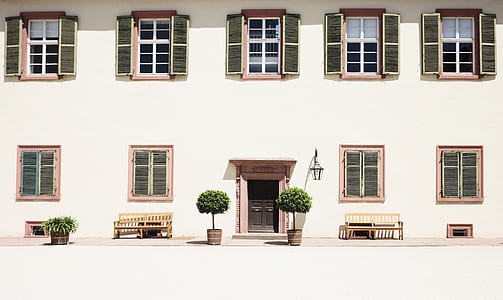 white concrete building with green leafed plants on front thumbnail