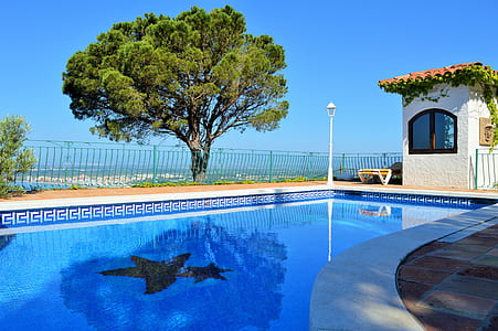 photo of pool near tree thumbnail