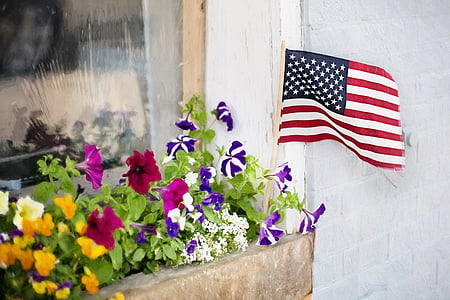 pink and purple petunia flowers and USA flag thumbnail