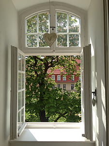open window near tree thumbnail