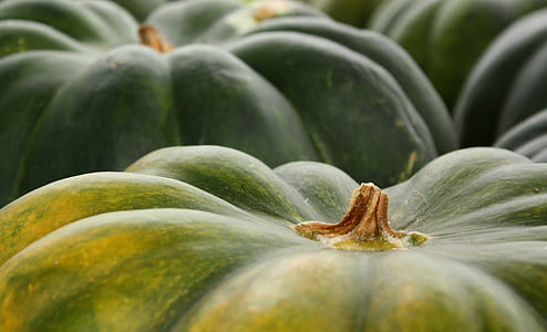 selective focus photography of green pumpkins thumbnail