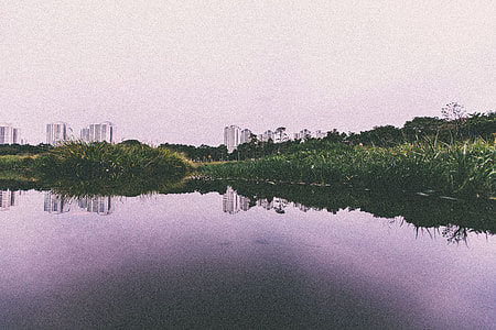 landscape photography of body of water surrounded by plants thumbnail