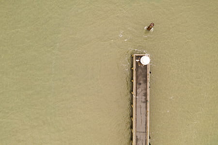Aerial View of Dock on Beige Body of Water thumbnail
