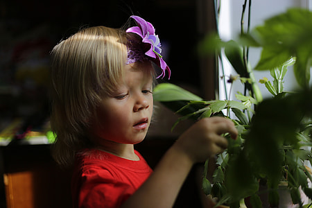 toddler touching plant thumbnail