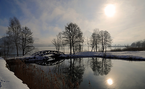 body of water near trees thumbnail