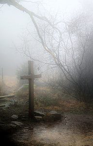 brown wooden cross near leafless tree surrounded by fogs at daytime thumbnail