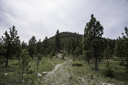 Starting the Mount Ascension Trail in Helena thumbnail