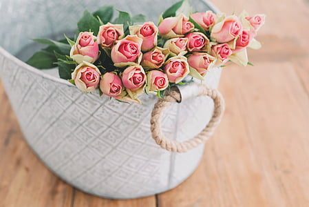 pink roses bouquet on white basket thumbnail