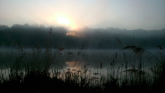 silhouette of grass near calm body of water during golden hour thumbnail
