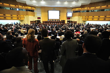 group of people on brown wooden room thumbnail