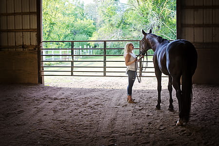 woman holding leash while standing beside black horse thumbnail