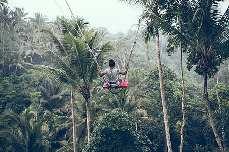 Person Riding on Zip Line thumbnail