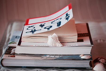 white seashell on books thumbnail